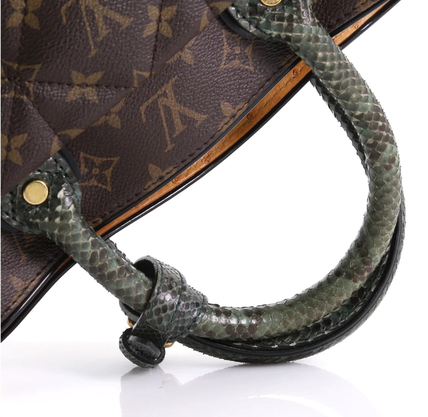 LOUIS VUITTON - a Monogram Etoile Exotique handbag